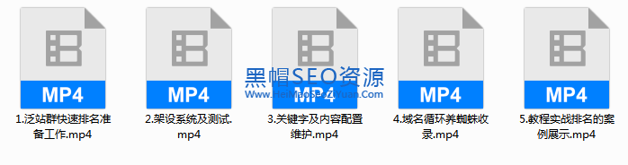 暴利产品必备的泛站群快速排名引流技术.PNG