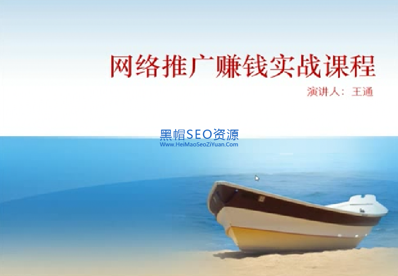 王通SEO网站推广赚钱实战课程.PNG